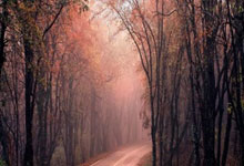 卡利亚里足球俱乐部是一支怎样的球队?