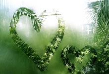 最新欧洲五大联赛积分榜有哪些关键变化和看点?