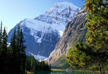 欢乐棋牌真的能带来纯粹的欢乐吗?